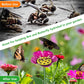 🌺Tränke für Bienen und Schmetterlinge mit Blumenmuster