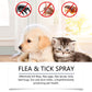 🍃Natürliches Floh- und Zeckenspray für Hunde und Katzen🐾 Schützen Sie Ihr geliebtes Haustier vor Schädlingen