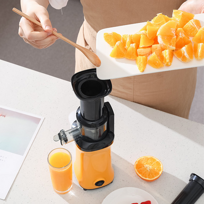 🍎🥕 Ganzes Obst & Gemüse entsaften – Kaltpress-Entsafter mit 5,3 Zoll Einfüllschacht, 300 W Slow-Masticating, leicht zu reinigen, für Batch-Entsaftung 💪🧃