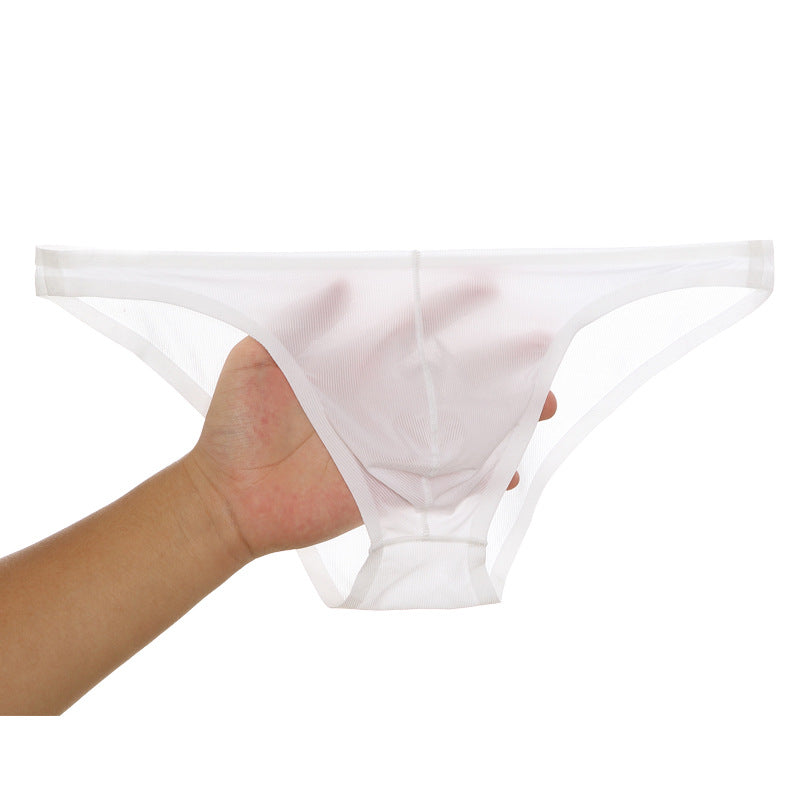 Transparente Männerunterwäsche ∗ Sexy Und Erotisch